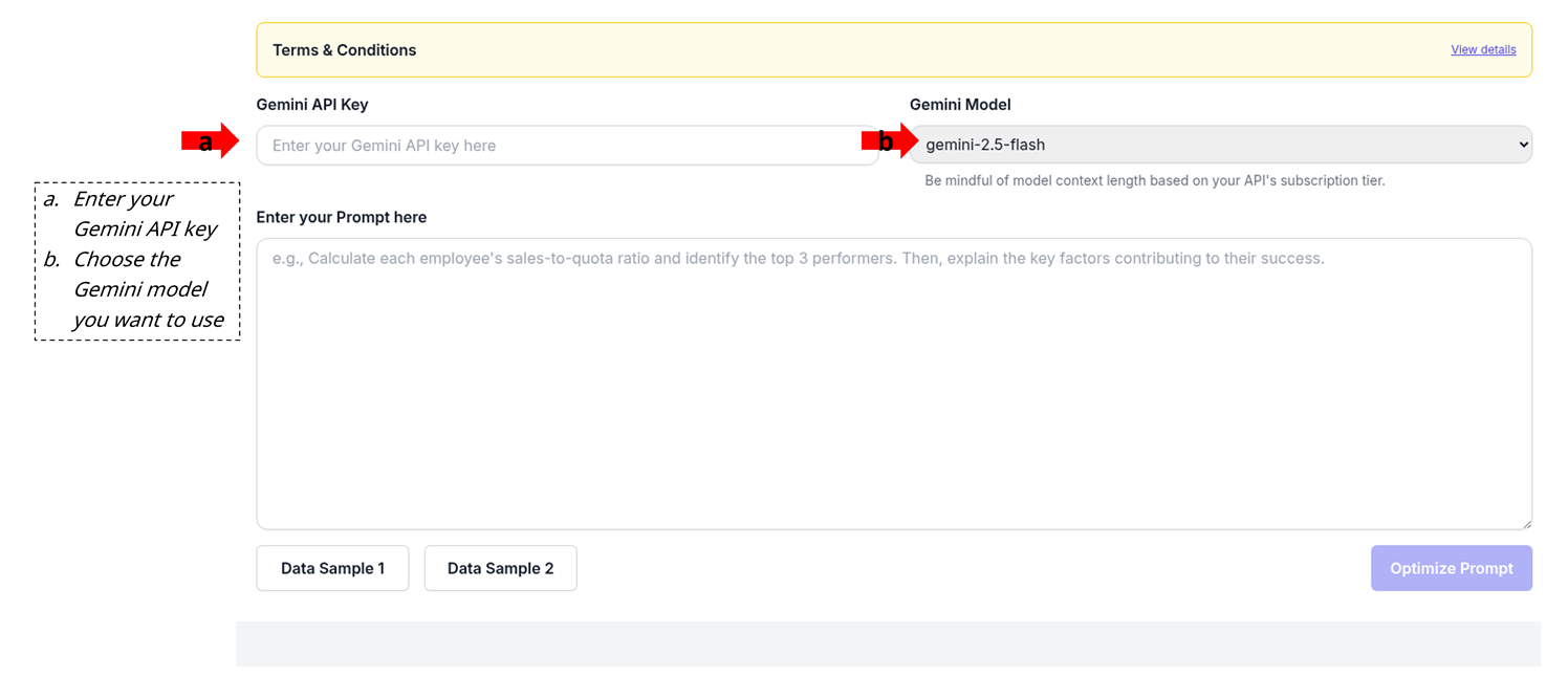 Provide API key and choose model | The India Portfolio
