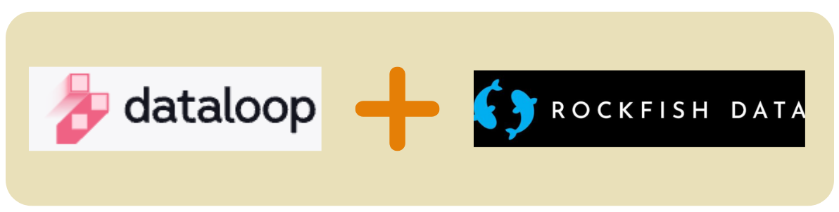 Dataloop + Rockfish | The India Portfolio